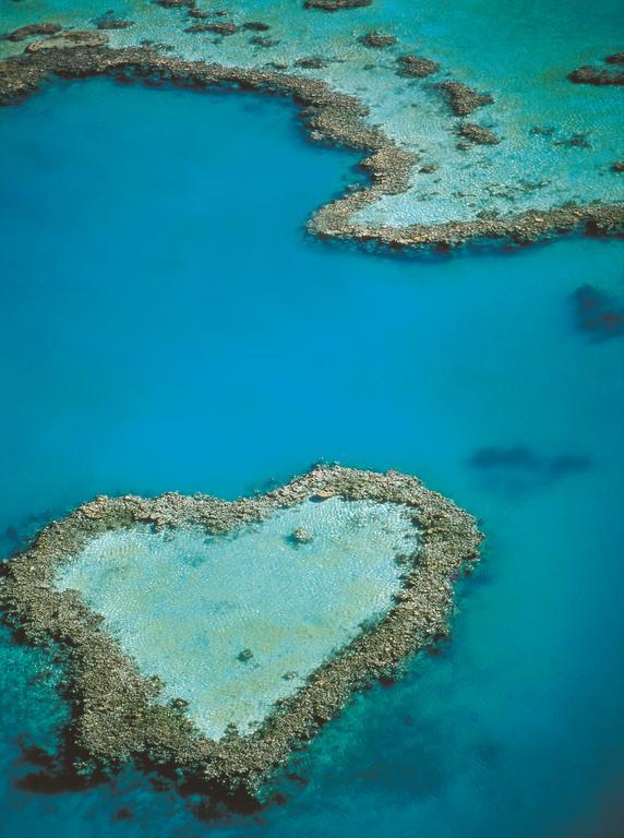 At Waterfront Whitsunday Retreat - Adults Only Airlie Beach Exterior foto